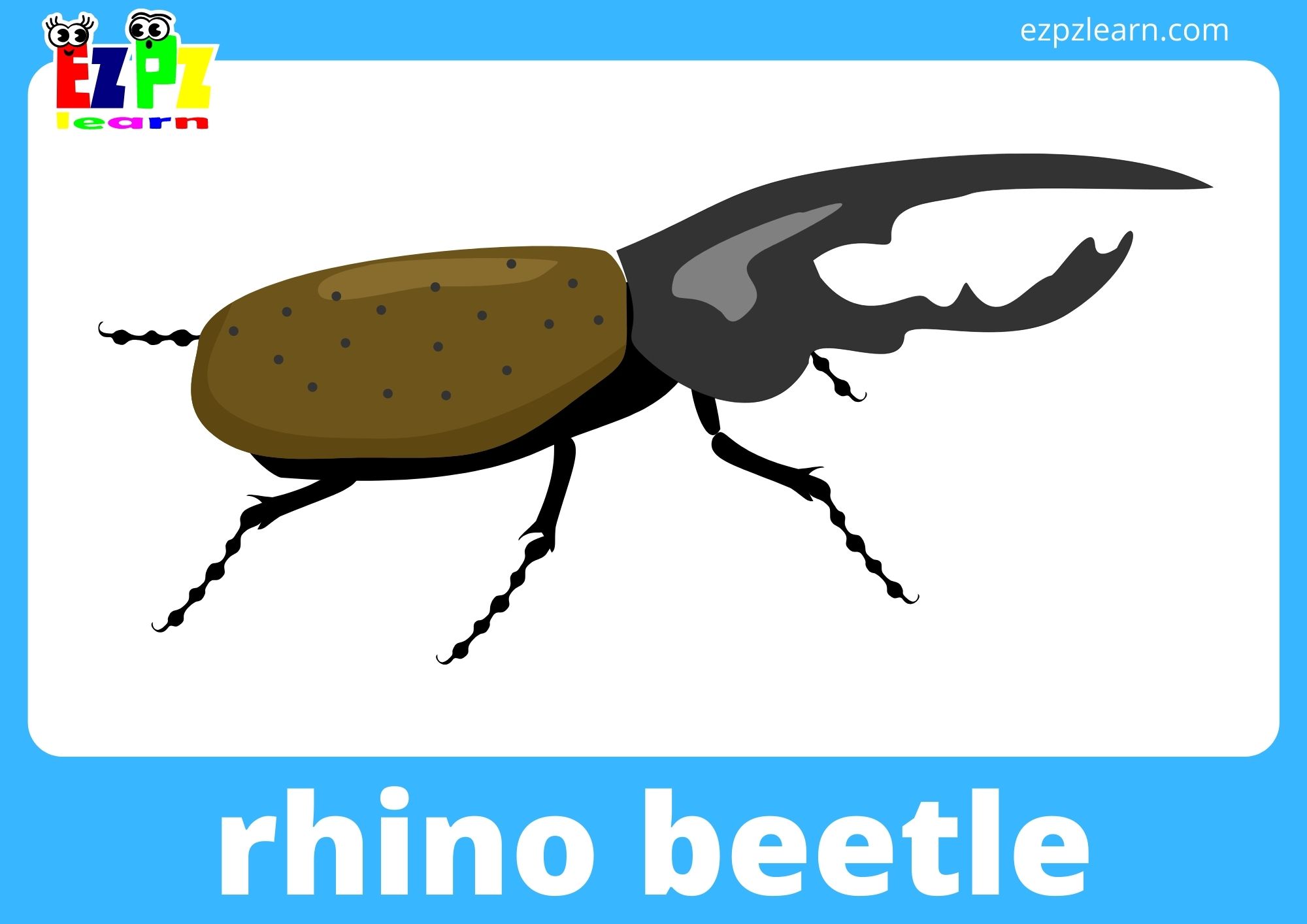 rhino beetle